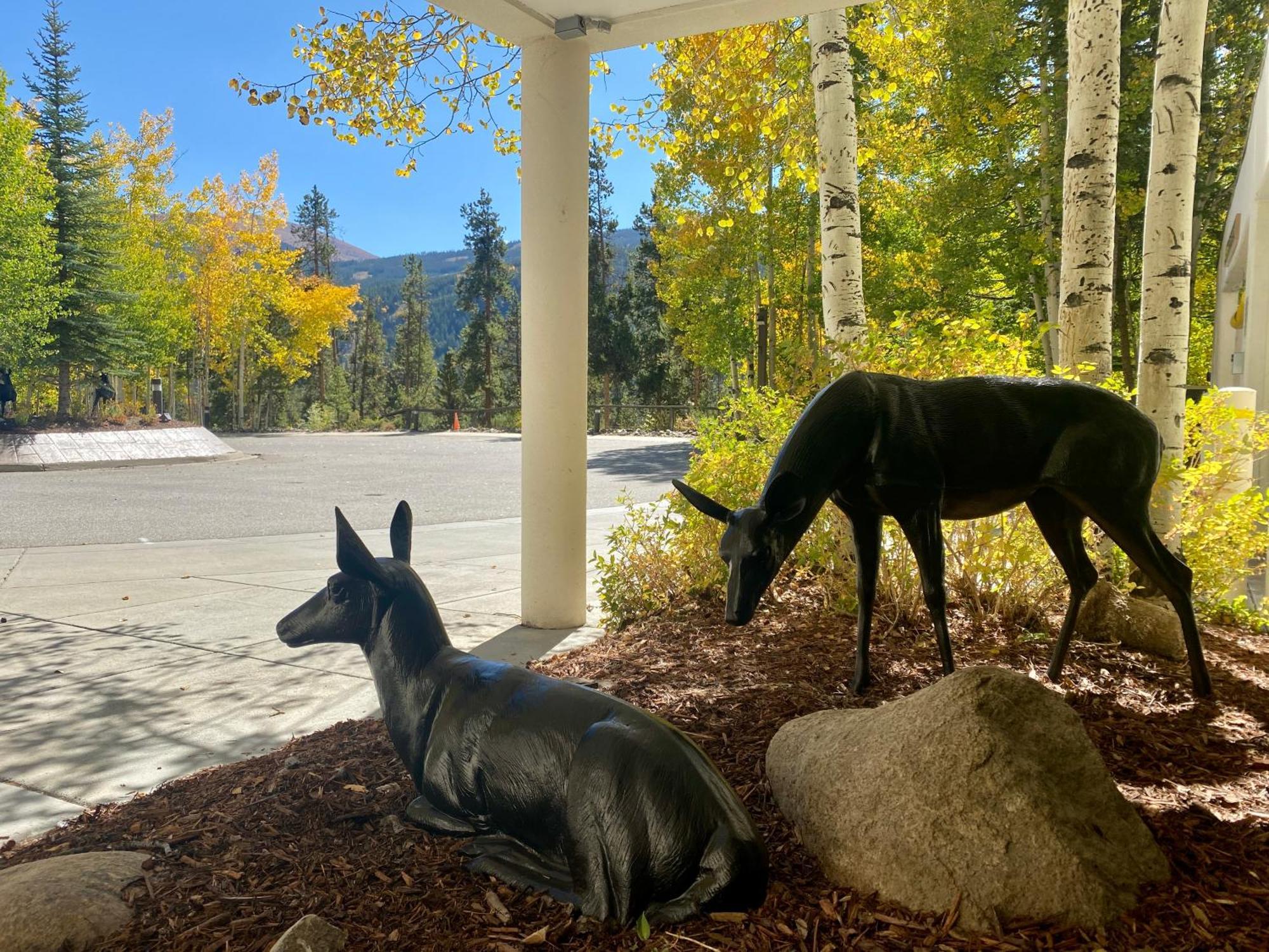 Wild Irishman 1043 By Summitcove Lodging Keystone Esterno foto